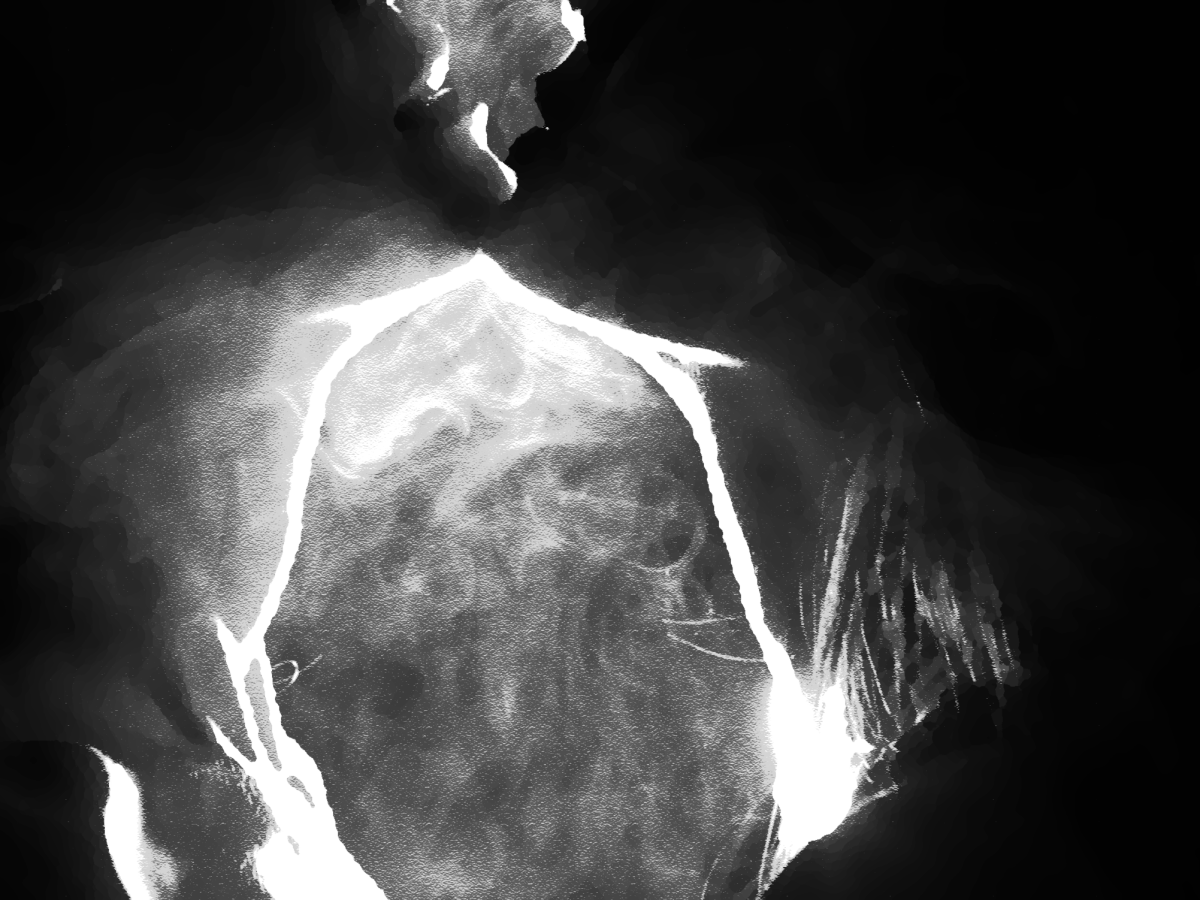 Vernissage Particular